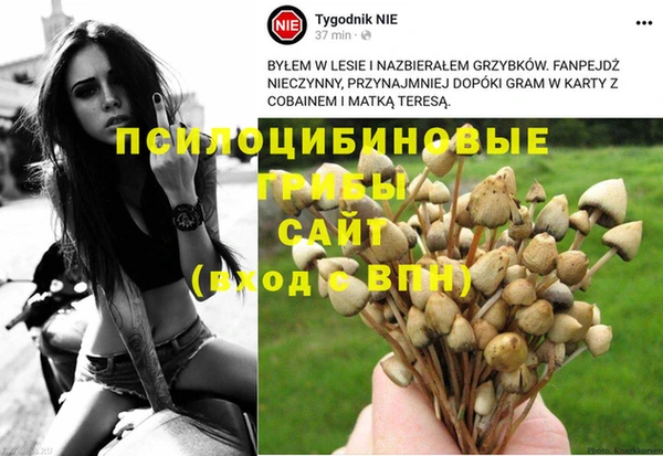 дурь Алексеевка