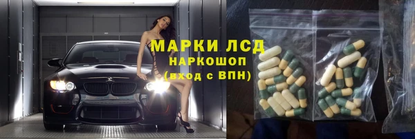 прущий лед Алзамай