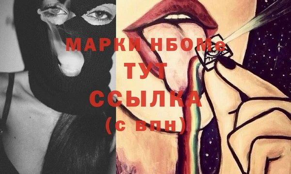 прущий лед Алзамай