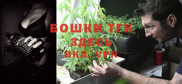 ПСИЛОЦИБИНОВЫЕ ГРИБЫ Алексин