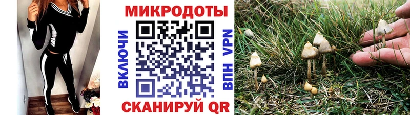 Галлюциногенные грибы мицелий Сусуман